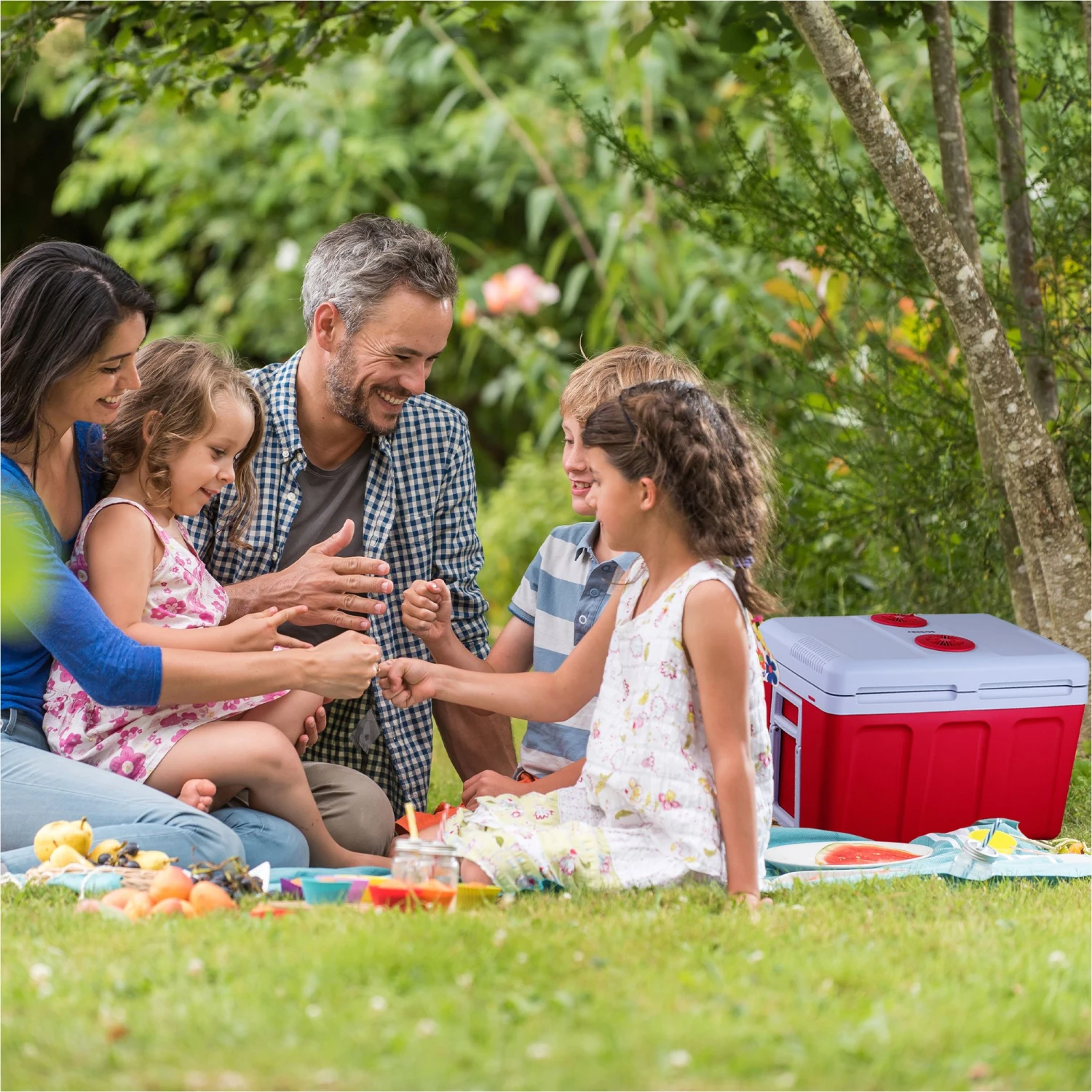 Thermoelektrische Kühlbox 40 Liter – Bild 2