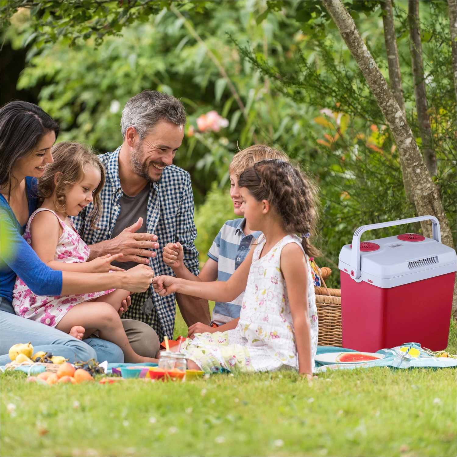 Thermoelektrische Kühlbox 25L – Bild 2